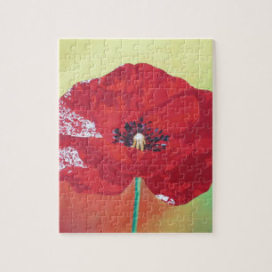 Single Steppe Mohn auf rot-grün und orange Hinterg