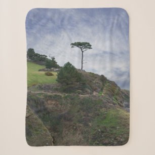 Single Tree am Thatcher Rock Sherpadecke