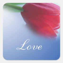 Single Tulpe Blume Quadratischer Aufkleber