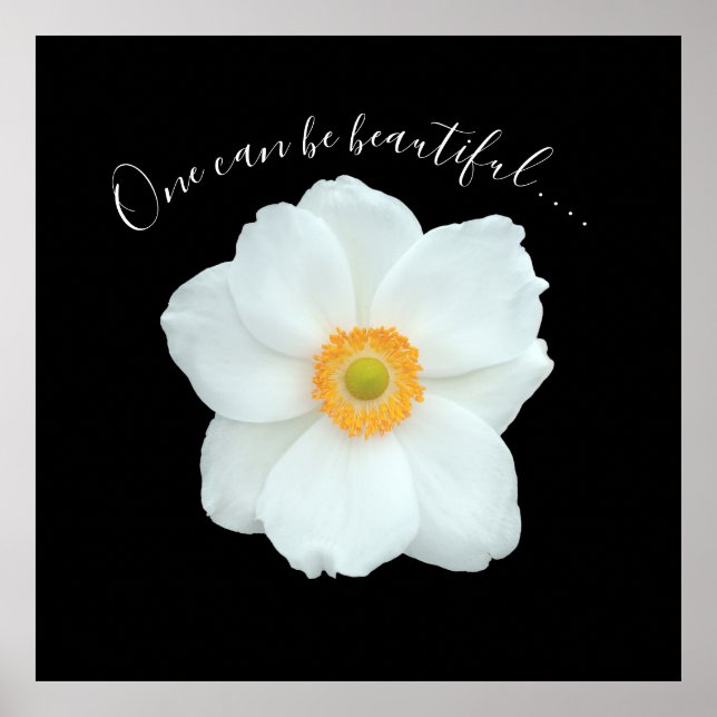Single White Blume One kann ein schönes Gedicht se Poster (Vorne)