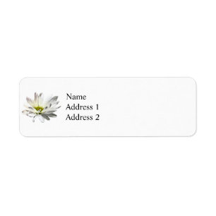 Single White Daisy