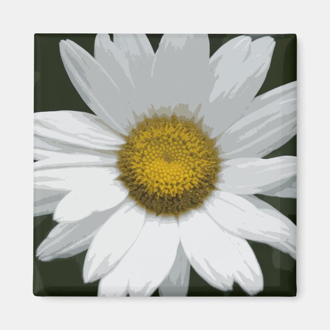 Single White Daisy Magnet (Vorne)