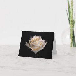 Single White Rose Karte