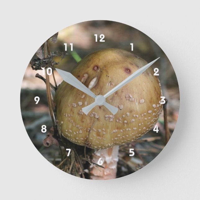 Single Wild Brown Pilz-Natur Runde Wanduhr (Vorderseite)
