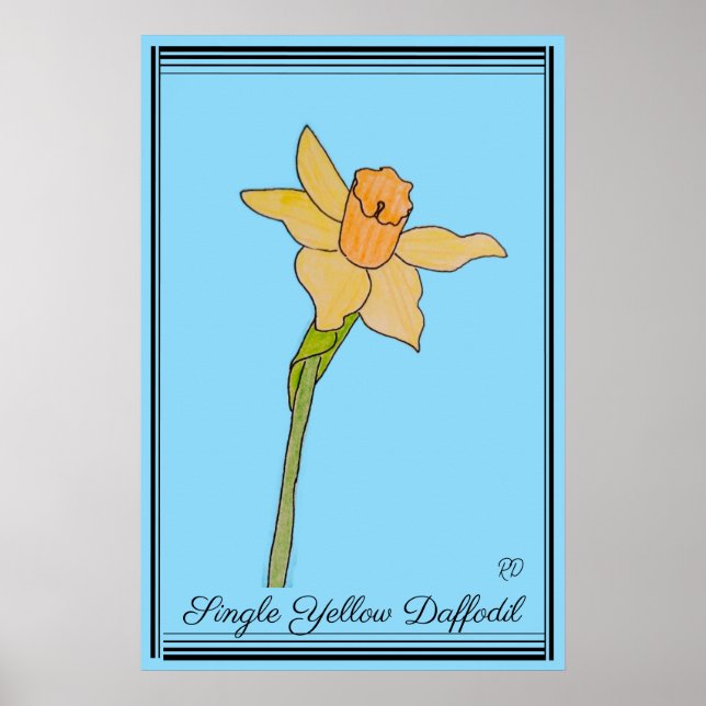 Single Yellow Daffodil Baby Blue Poster (Vorne)