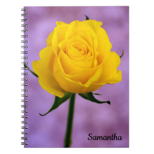 Single Yellow Rose Spirale Notebook Notizblock