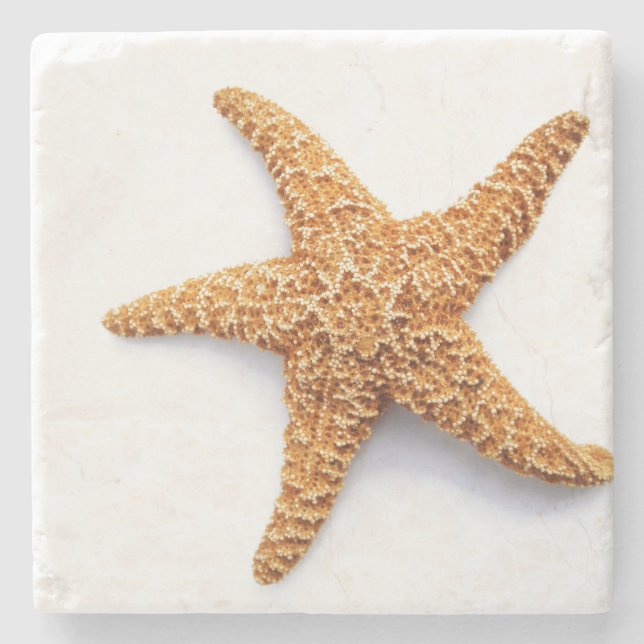 Single Zucker Starfish Steinuntersetzer (Vorderseite)