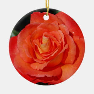 Singleorangen-Rose Keramikornament
