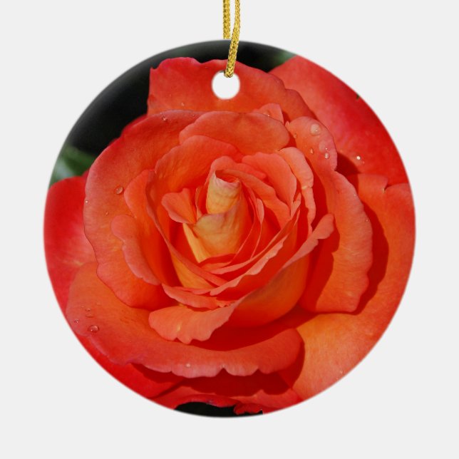 Singleorangen-Rose Keramikornament (Vorne)