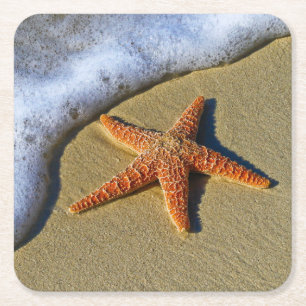 SingleStarfish auf Strand Rechteckiger Pappuntersetzer