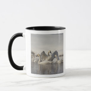 Singschwäne im Madison River im Winter Tasse