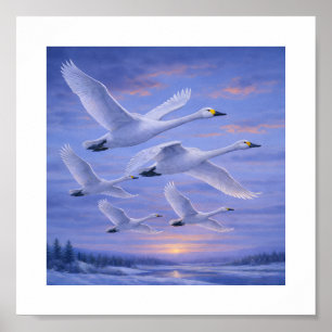 Singschwäne im Winterhimmel – Japanische Wildvögel Poster