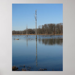 Singularreflektion Poster