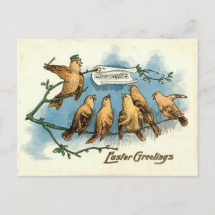Singvogelchor Himmel Singendes Lied Baum Postkarte