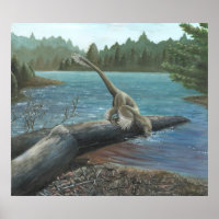 Sinornithosaurus Print