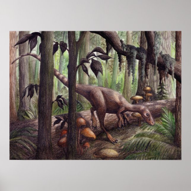 Sinosauropteryx drucken poster (Vorne)