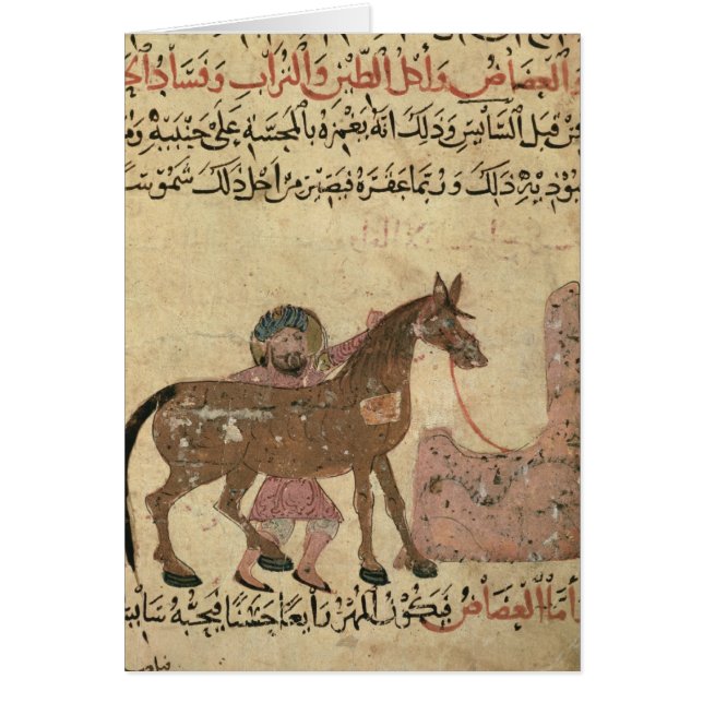 S'inquiétant du cheval, illustration (Devant)