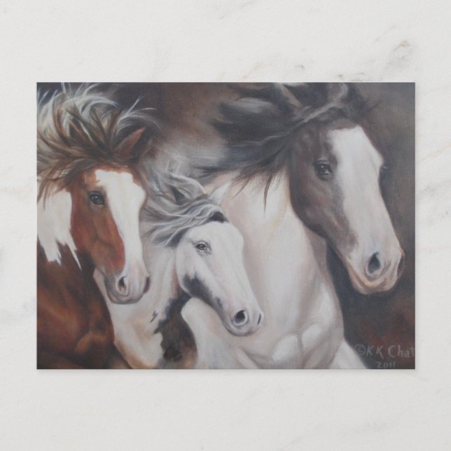 Sinti und Roma ausführen Postkarte (Vorderseite)