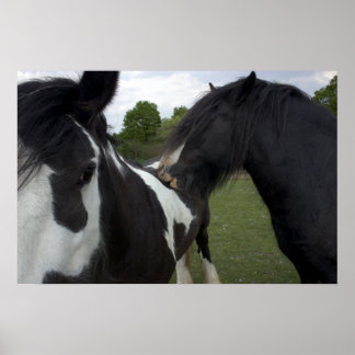 Sinti und Roma Boys Poster