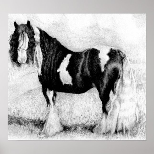 Sinti und Roma Cob Horse Portrait Poster (Vorne)