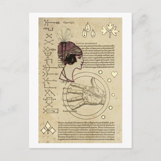 Sinti und Roma Fortune Teller Postkarte (Vorderseite)