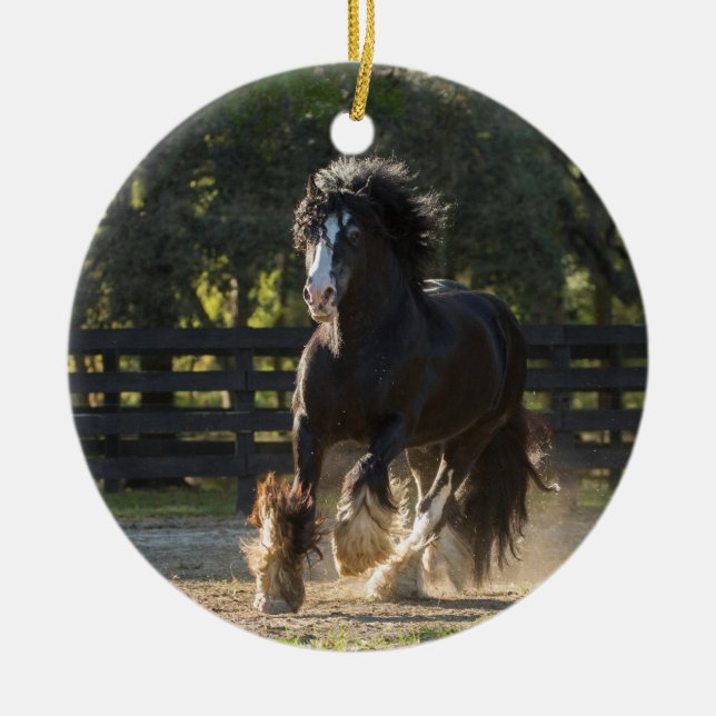 Sinti und Roma-GoldSinti und Roma Vanner Keramik Ornament (Vorne)