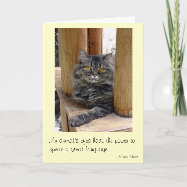 Sinti und Roma Karte (Vorderseite)