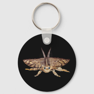 Sinti und Roma-Moth, Lymantria dispar zoologisch Schlüsselanhänger