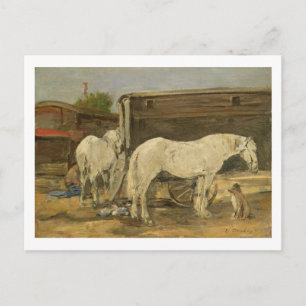 Sinti und Roma Pferde, c.1885-90 (Öl auf Leinwand) Postkarte