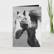 Sinti und Roma Runs Horse Grußkarte