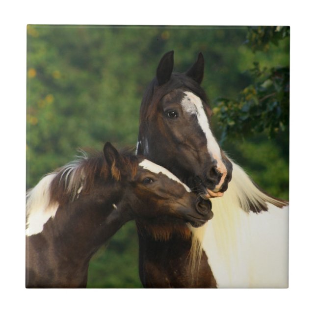 Sinti und Roma Vanner Fliese (Vorderseite)