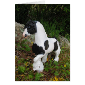 Sinti und Roma Vanner Horse