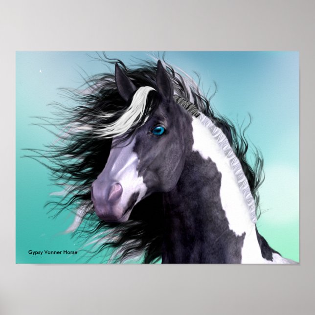 Sinti und Roma Vanner Horse 16 x 12 Poster (Vorne)