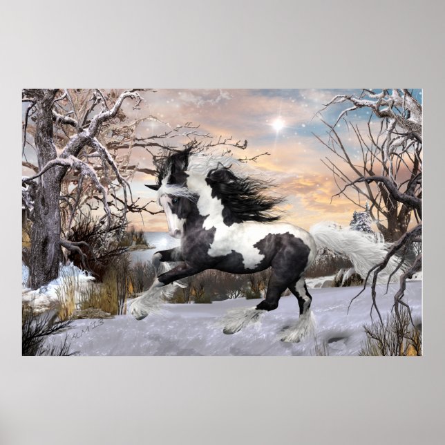 Sinti und Roma Vanner Horse Poster (Vorne)