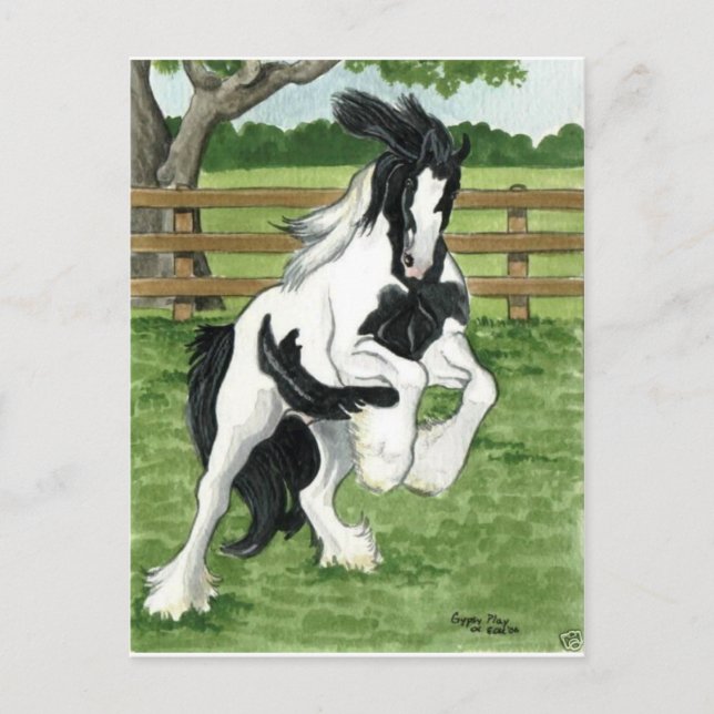 Sinti und Roma Vanner im Spiel Reitkunst Postkarte (Vorderseite)