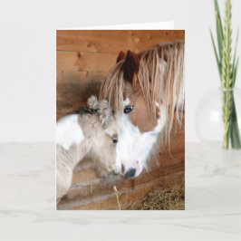 Sinti und Roma Vanner Mare and Foal Mother Day Karte
