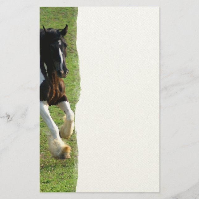 Sinti und Roma Vanner Pferd Briefpapier (Vorderseite)