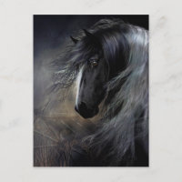 Sinti und Roma Vanner Portrait