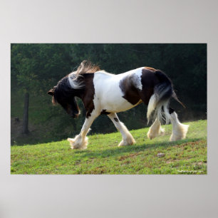 Sinti und Roma Vanner Poster