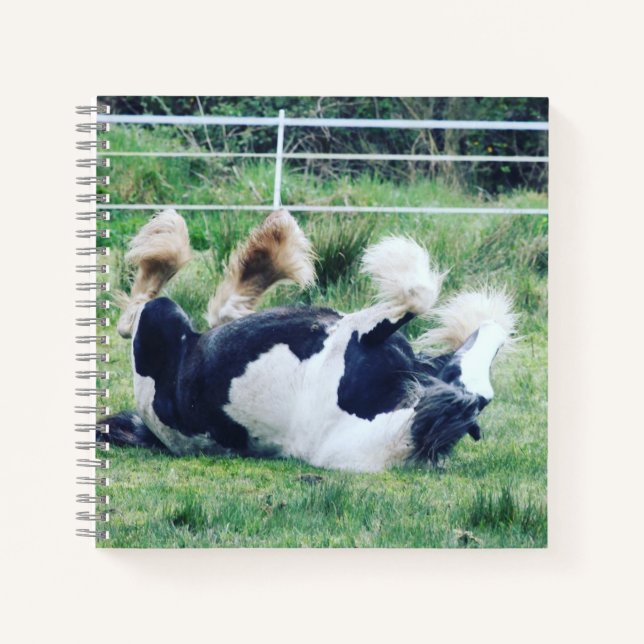 Sinti und Roma Vannerpferd im Gras rollen Notizbuch (Vorderseite)