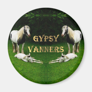 Sinti und Roma Vanners Magnet