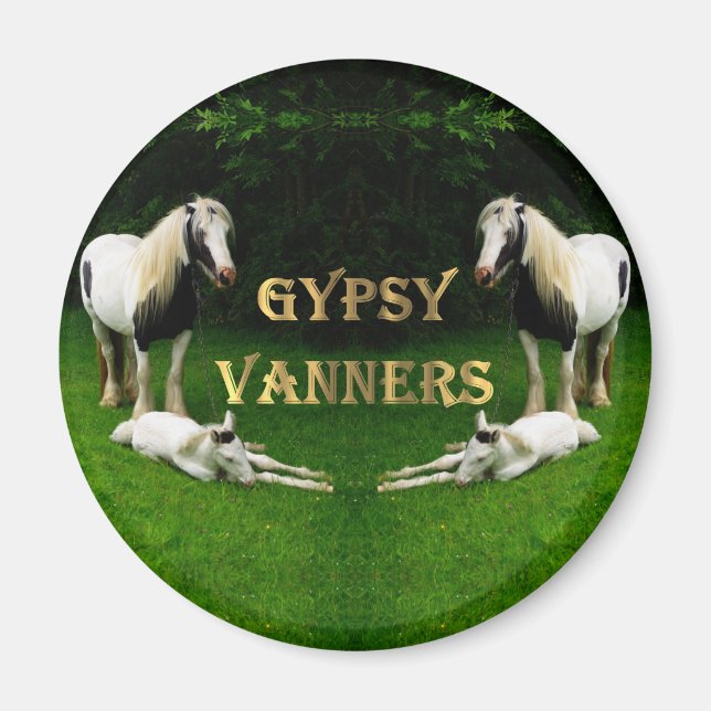 Sinti und Roma Vanners Magnet (Vorne)