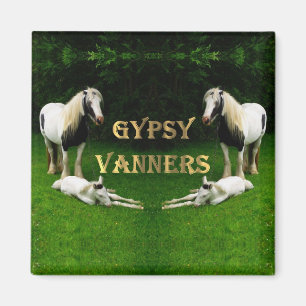 Sinti und Roma Vanners Magnet