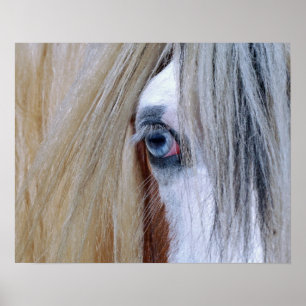 Sinti und Roma-Visions-Plakat-Druck Poster