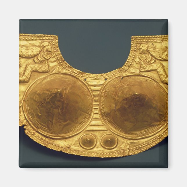 Sinu-Brustplatte Magnet (Vorne)