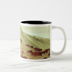 Sioux-amerikanischer Ureinwohner, der Büffel, 183 Zweifarbige Tasse