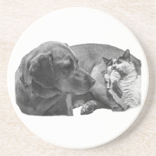 Sip Break mit Pals Getränkeuntersetzer