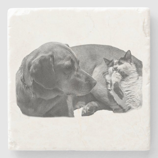 Sip Break mit Pals Steinuntersetzer (Vorderseite)