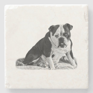 Sip Break, nachdenklicher Bulldog Steinuntersetzer