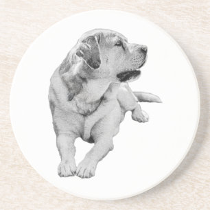 Sip Break, Steady Friend Getränkeuntersetzer